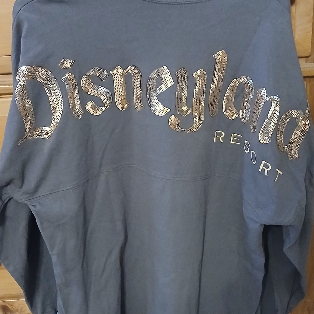 Disneyland Resort Spirit Jersey